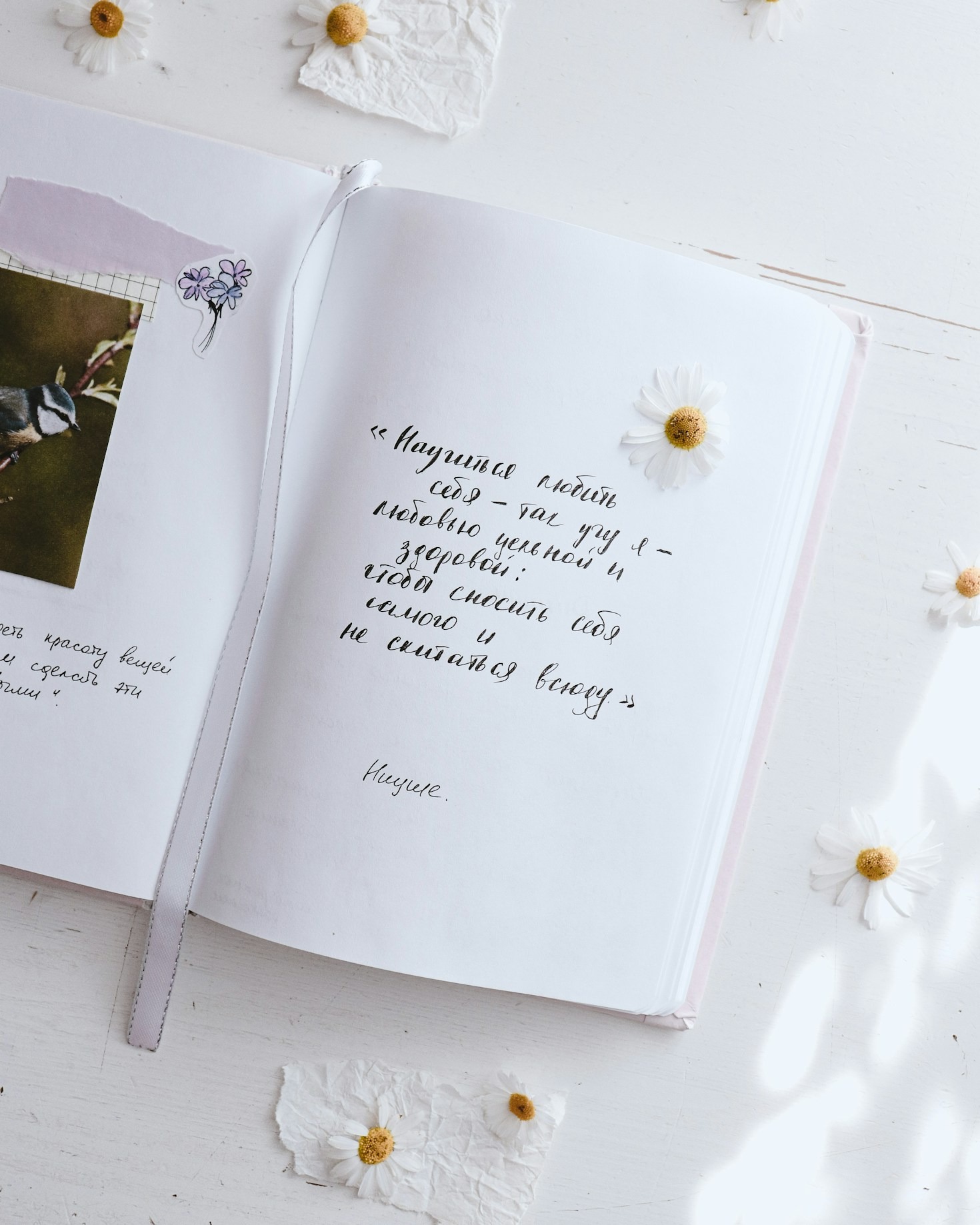 Behind the Pages of My Latest Story Collection